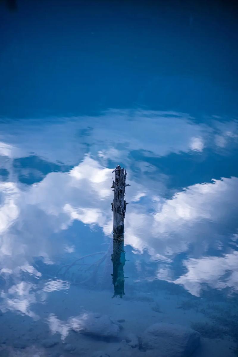 9:1短视频破解版